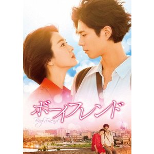 ボーイフレンドdvd
